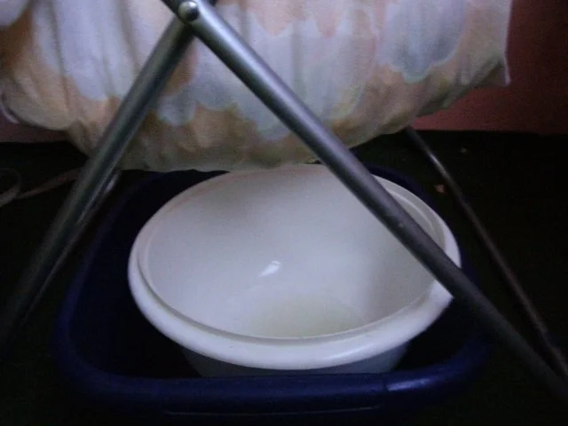 Rezept: Senfgurken (Schluppergurken)nach Oma´s Rezept Bild Nr. 12 Senfgurken (Schluppergurken)nach Oma´s Rezept - Rezept - Bild Nr. 12