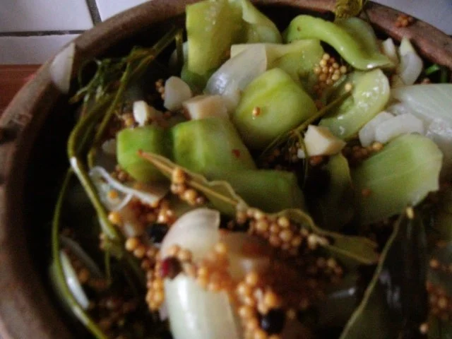 Rezept: Senfgurken (Schluppergurken)nach Oma´s Rezept Bild Nr. 17 Senfgurken (Schluppergurken)nach Oma´s Rezept - Rezept - Bild Nr. 17