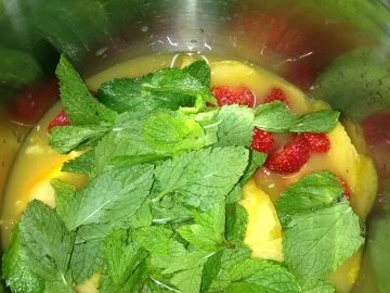 Rezept: Champagner Bowle For Ladys! Bild Nr. 2 Champagner Bowle For Ladys! - Rezept - Bild Nr. 2