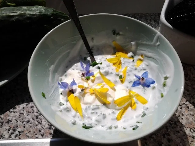 Knäckebrot - Rezept - Bild Nr. 7