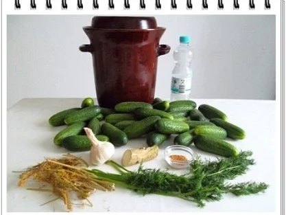 Salzgurken mit Mineralwasser. - Rezept - Bild Nr. 4