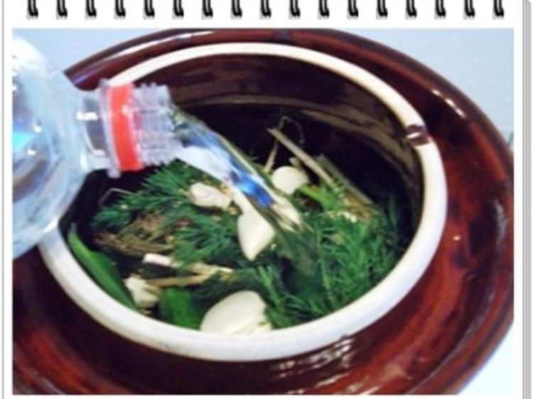 Salzgurken mit Mineralwasser. - Rezept mit Bild - kochbar.de