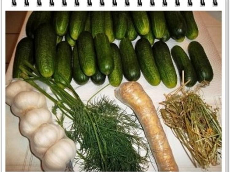 Salzgurken mit Mineralwasser. - Rezept mit Bild - kochbar.de
