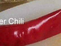 eingelegter Stinkerle - Rezept - Bild Nr. 4