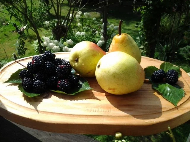 Rezept: Birnenküchlein mit Brombeerkompott Bild Nr. 2 Birnenküchlein mit Brombeerkompott - Rezept - Bild Nr. 2