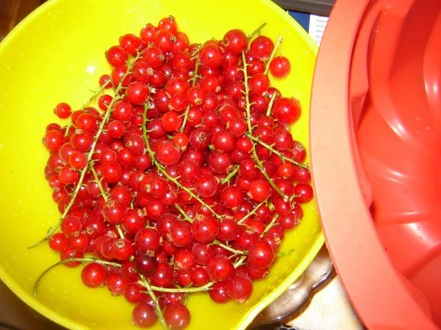 Eistorte - Rezept - Bild Nr. 5