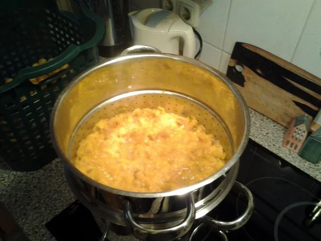 Mirabellensaft für meine liebe Heike! - Rezept - Bild Nr. 3