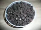 Brombeer - Gelee - Spezial - Rezept