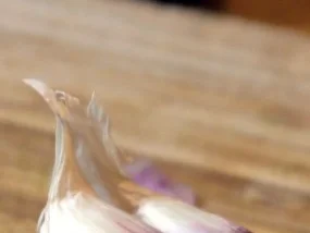 Spaghetti mit Ragú vom Rind - Rezept - Bild Nr. 6