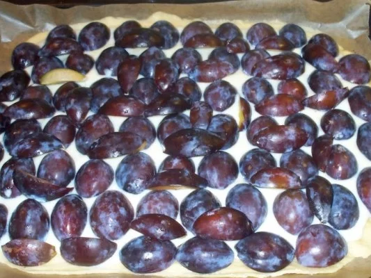 Pflaumenkuchen mit Pudding und Streuseln á lá Mama - Rezept - Bild Nr. 3