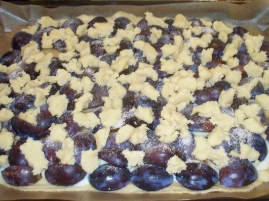 Pflaumenkuchen mit Pudding und Streuseln á lá Mama - Rezept - Bild Nr. 4