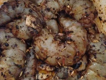 Rezept: Garnelen spicey marniert mit Fenchelsamen und geschroteter Paprika Bild Nr. 3 Garnelen spicey marniert mit Fenchelsamen und geschroteter Paprika - Rezept - Bild Nr. 3