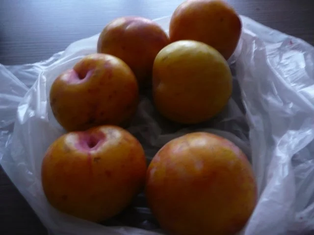 Rezept: Papaya- Mix, Marmelade oder Dessert Bild Nr. 3 Papaya- Mix, Marmelade oder Dessert - Rezept - Bild Nr. 3