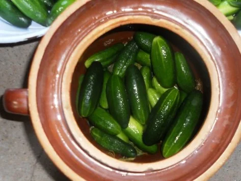 "Oma - Friede`s" Delikateßgurken im Gärtopf eingelegt. (Rzpt. um 1939) - Rezept - Bild Nr. 8