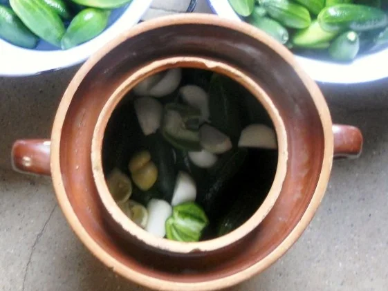 "Oma - Friede`s" Delikateßgurken im Gärtopf eingelegt. (Rzpt. um 1939) - Rezept - Bild Nr. 9