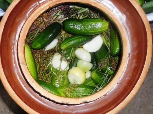 "Oma - Friede`s" Delikateßgurken im Gärtopf eingelegt. (Rzpt. um 1939) - Rezept - Bild Nr. 11