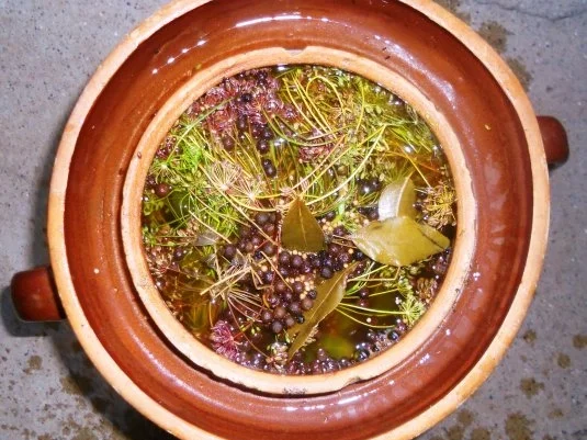 "Oma - Friede`s" Delikateßgurken im Gärtopf eingelegt. (Rzpt. um 1939) - Rezept - Bild Nr. 14