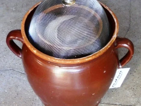 "Oma - Friede`s" Delikateßgurken im Gärtopf eingelegt. (Rzpt. um 1939) - Rezept - Bild Nr. 16