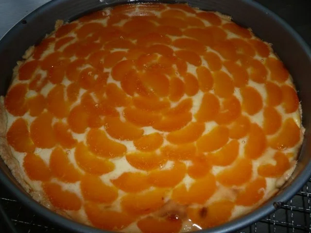 Rezept: Mandarinen - Käsekuchen Bild Nr. 2 Mandarinen - Käsekuchen - Rezept - Bild Nr. 2
