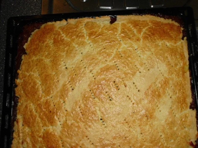 Rezept: Pflaumenkuchen - ungarisch - Bild Nr. 21 Pflaumenkuchen - ungarisch - - Rezept - Bild Nr. 21