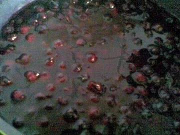 Rezept: Jochelbeer Saft Bild Nr. 2 Jochelbeer Saft - Rezept - Bild Nr. 2