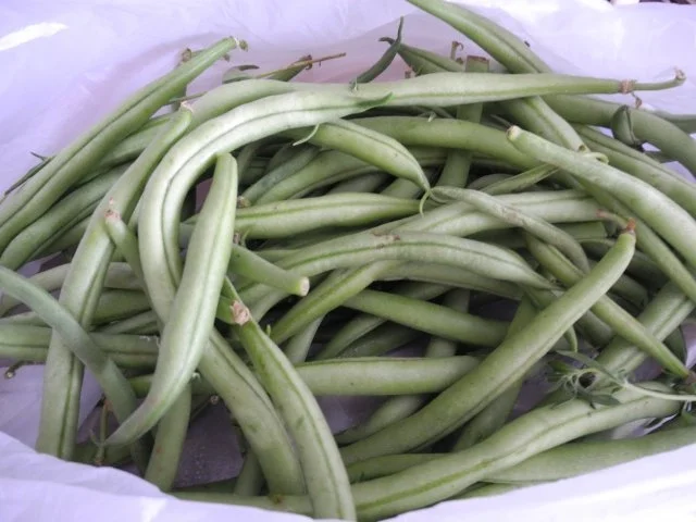 Salat : Bohnensalat - Rezept - Bild Nr. 2