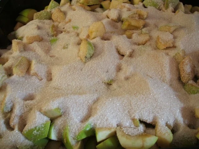 Vorrat: Jabuka - Apfelmus - Rezept - Bild Nr. 4