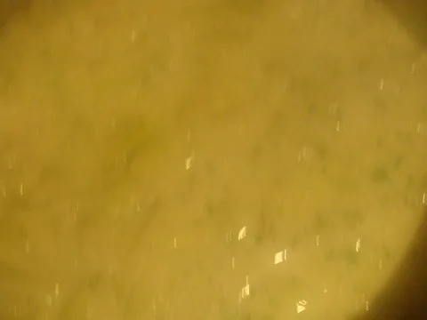 Suppen : Kohlrabisuppe mal ganz anders. - Rezept - Bild Nr. 2