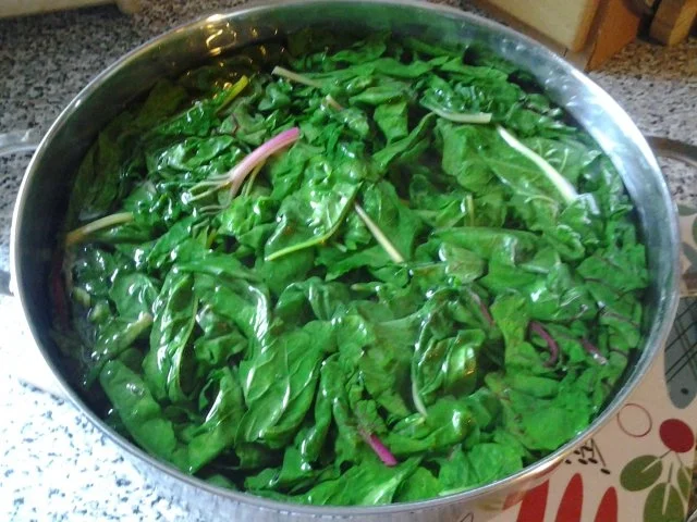 Mangoldpastete - Rezept - Bild Nr. 4