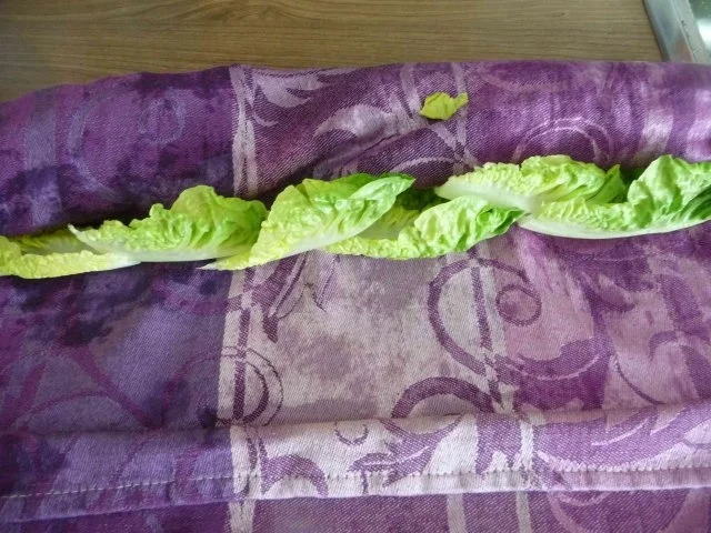 Salate : Grünen Salat an Hähnchenschnitzel mit Kräuterbutter - Rezept - Bild Nr. 3