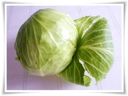 Rezept: Kohlrouladen mit Hackfleisch – Reis - Füllung Bild Nr. 2 Kohlrouladen mit Hackfleisch – Reis - Füllung - Rezept - Bild Nr. 2