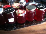 Rotes/schwarzes  Johannisbeergelee - Rezept