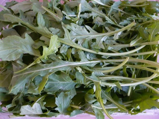 Rezept: Hähnchen - Heidelbeer - Salat Bild Nr. 7 Hähnchen - Heidelbeer - Salat - Rezept - Bild Nr. 7