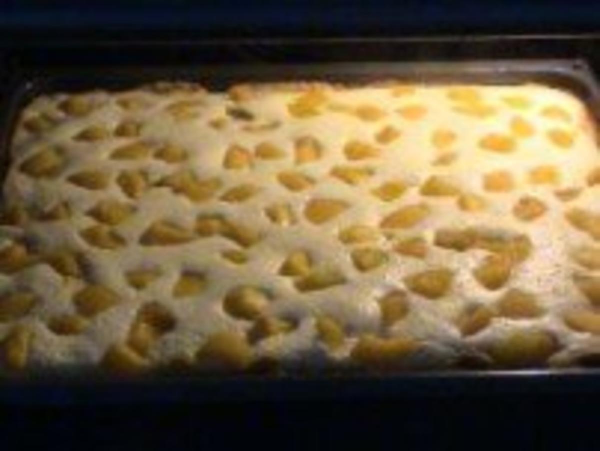 Kuchen: Spiegel-Ei-Kuchen - Rezept