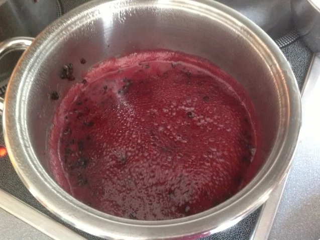 Rezept: Leckerer Holunderbeersirup frisch&fruchtig zur Saison Probierportion Bild Nr. 8 Leckerer Holunderbeersirup frisch&fruchtig zur Saison Probierportion - Rezept - Bild Nr. 8