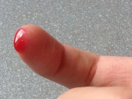 Rezept: Leckerer Holunderbeersirup frisch&fruchtig zur Saison Probierportion Bild Nr. 9 Leckerer Holunderbeersirup frisch&fruchtig zur Saison Probierportion - Rezept - Bild Nr. 9