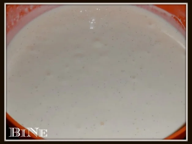 BiNe` S KÆSEKUCHENEIS - Rezept - Bild Nr. 5