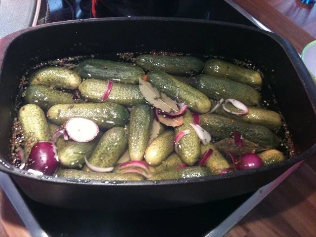 Gewürzgurken-Schnelleinlegegurken leichte Schärfe - Rezept