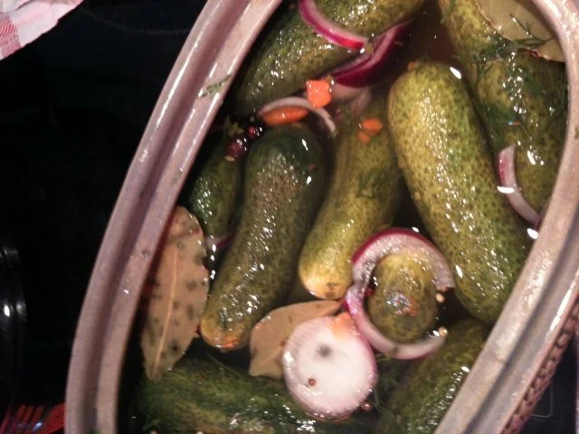 Gewürzgurken-Schnelleinlegegurken leichte Schärfe - Rezept - Bild Nr. 2