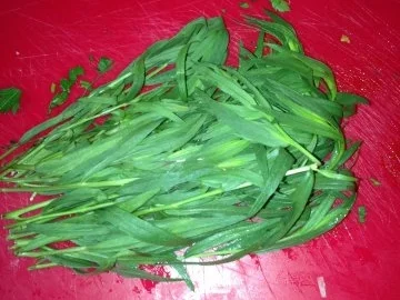 Rind-Pilze-Paprika-Estragon Eintopf - Rezept - Bild Nr. 3