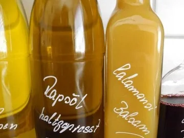 Pfefferminz - Petersilien - Pesto - Rezept - Bild Nr. 4