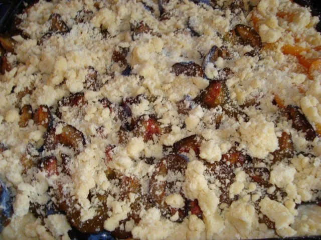 Rezept: Pflaumen - Streuselkuchen Bild Nr. 7 Pflaumen - Streuselkuchen - Rezept - Bild Nr. 7