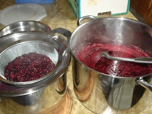 Holunderbeeren-Konfitüre - Rezept - Bild Nr. 3