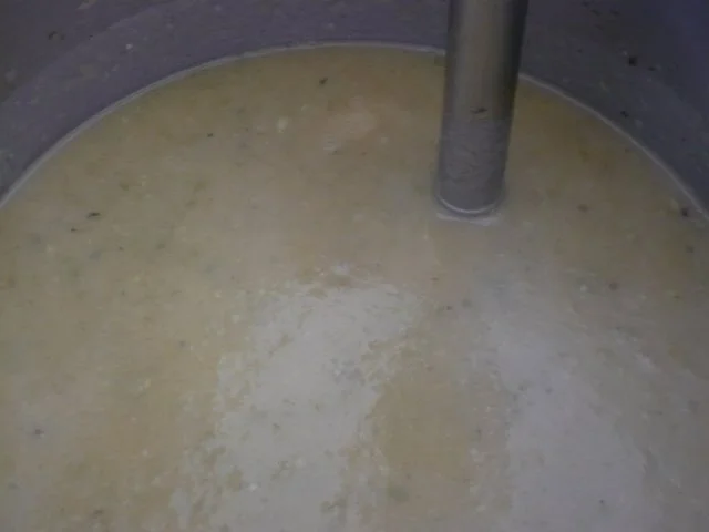 Rezept: Cremiges Bohnensüppchen Bild Nr. 8 Cremiges Bohnensüppchen - Rezept - Bild Nr. 8