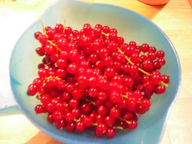 Johannisbeer-Karamell-Torte - Rezept - Bild Nr. 4