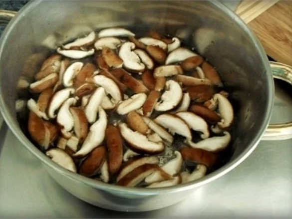 Scharf- saure  Pekingsuppe  mit frischen Shiitake - Rezept - Bild Nr. 13