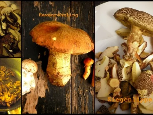 Mozzarella mit Kartoffelkruste und sahnige Hexenröhrlinge - Rezept - Bild Nr. 3