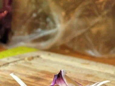 Zucchini-Minz-Pesto - Rezept - Bild Nr. 4