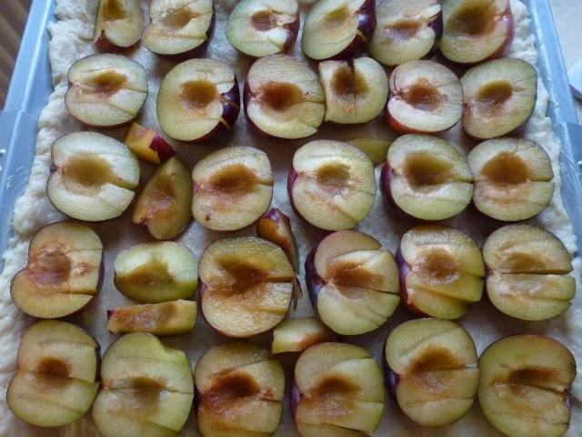 Rezept: Omas leckerster Pflaumenkuchen Bild Nr. 8 Omas leckerster Pflaumenkuchen - Rezept - Bild Nr. 8