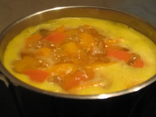 Rezept: Kürbissuppe mit Ingwer Bild Nr. 6 Kürbissuppe mit Ingwer - Rezept - Bild Nr. 6